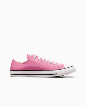 Converse Chuck Taylor All Star Men Canvas Shoes Pink NZ | C-47638509