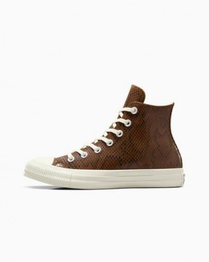 Converse Chuck Taylor All Star Snakeskin Print Women Sneakers Brown NZ | C-15260399