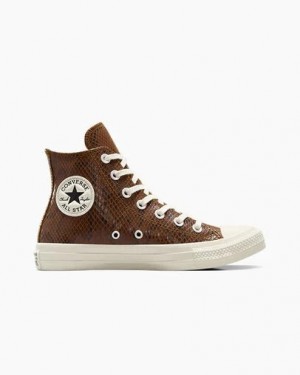 Converse Chuck Taylor All Star Snakeskin Print Women Sneakers Brown NZ | C-56832109