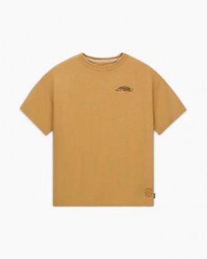 Converse Converse x IRAK NYC Gold Standard Men T Shirts Brown NZ | C-67139529