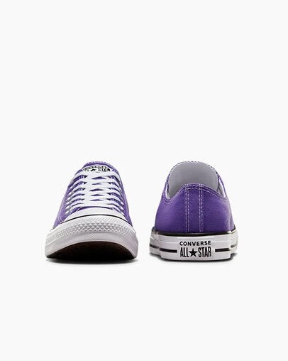 Converse Chuck Taylor All Star Men Canvas Shoes Purple NZ | C-90463259