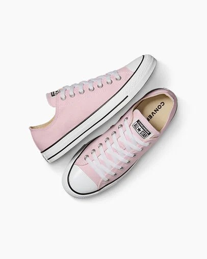 Converse Chuck Taylor All Star Women Canvas Shoes Pink NZ | C-07684519