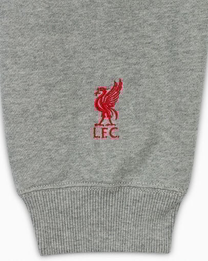 Converse Converse x Liverpool FC Logo Women Hoodie Grey NZ | C-94710269